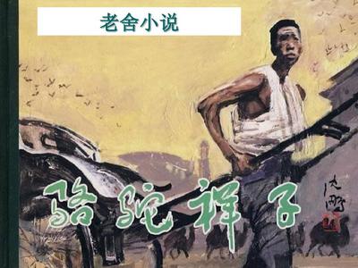 人与动物发生关系视频